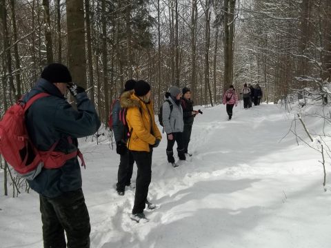 Wycieczka w Góry Sowie s15 - PTTK Strzelin
