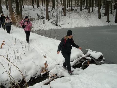 Wycieczka w Góry Sowie s18 - PTTK Strzelin