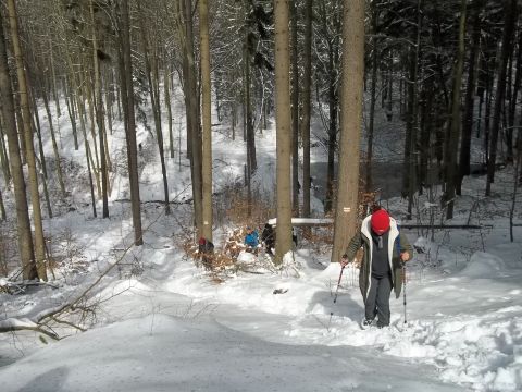 Wycieczka w Góry Sowie s22 - PTTK Strzelin