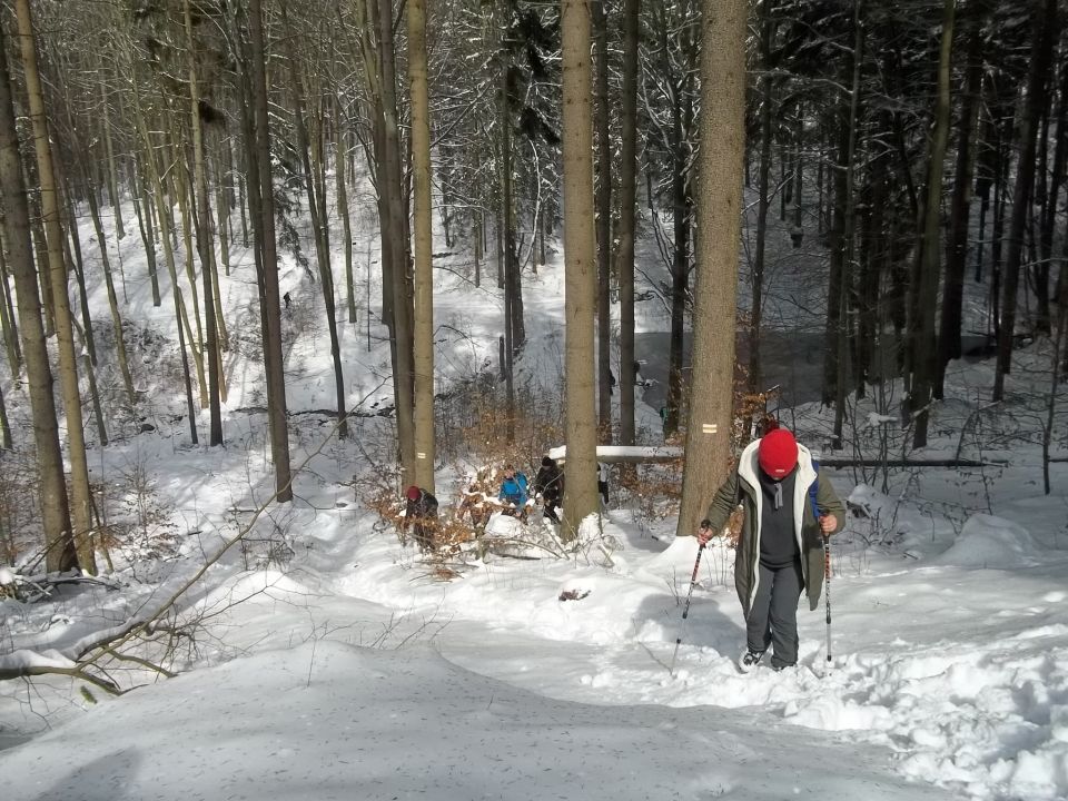 Wycieczka w Góry Sowie s002 - PTTK Strzelin