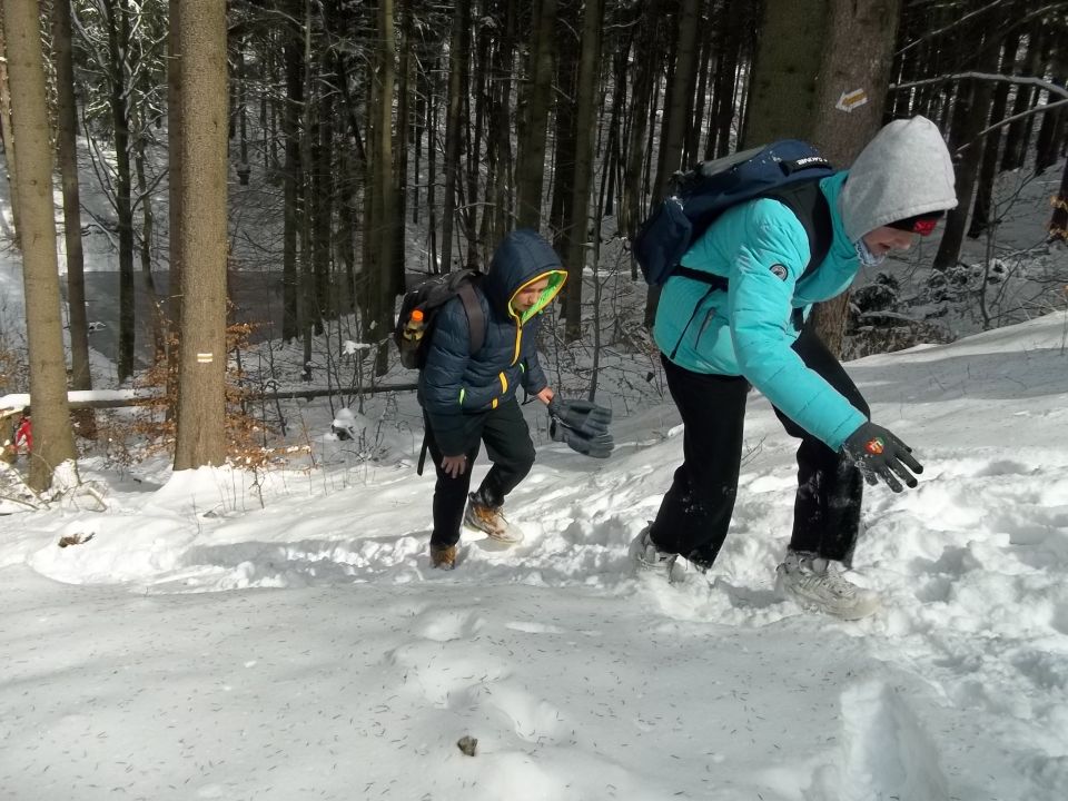 Wycieczka w Góry Sowie s002 - PTTK Strzelin