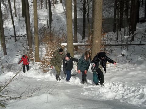 Wycieczka w Góry Sowie s29 - PTTK Strzelin