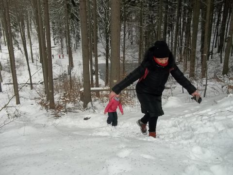 Wycieczka w Góry Sowie s33 - PTTK Strzelin