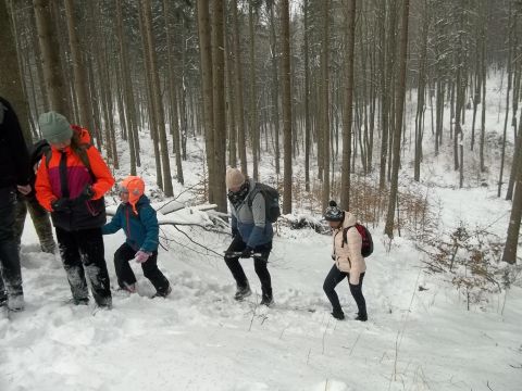 Wycieczka w Góry Sowie s36 - PTTK Strzelin