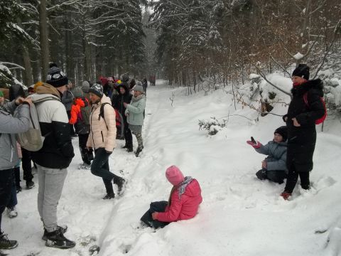 Wycieczka w Góry Sowie s40 - PTTK Strzelin