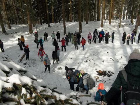 Wycieczka w Góry Sowie s41 - PTTK Strzelin