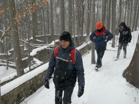 Wycieczka w Góry Sowie s44 - PTTK Strzelin