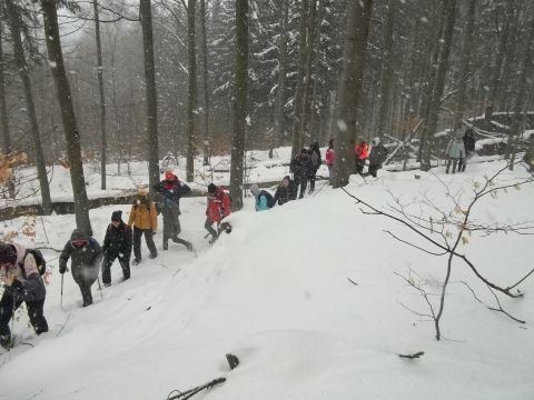 Wycieczka w Góry Sowie s45 - PTTK Strzelin