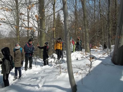 Wycieczka w Góry Sowie s56 - PTTK Strzelin