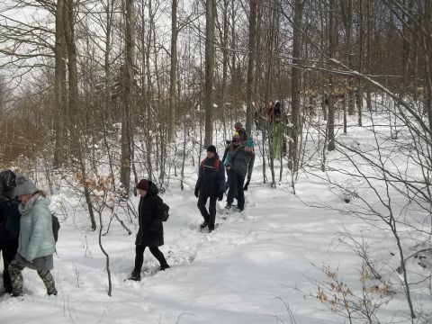 Wycieczka w Góry Sowie s60 - PTTK Strzelin