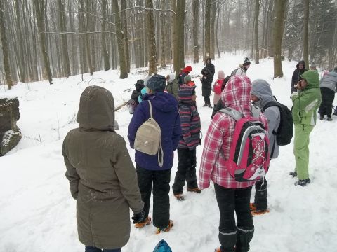 Wycieczka w Góry Sowie s62 - PTTK Strzelin