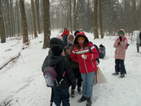 Wycieczka w Góry Sowie s63 - PTTK Strzelin