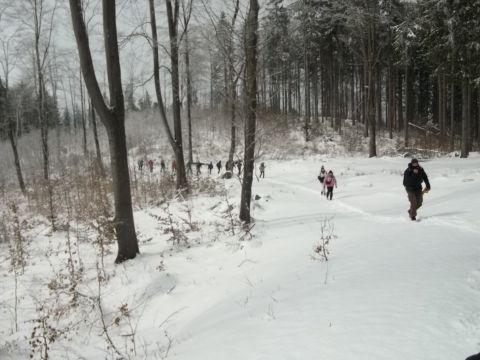 Wycieczka w Góry Sowie s68 - PTTK Strzelin