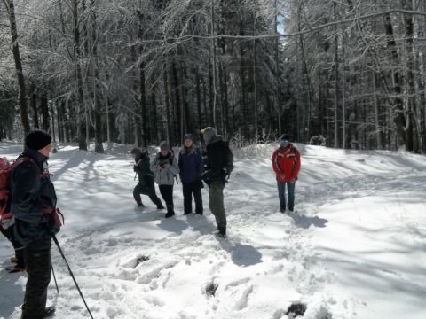 Wycieczka w Góry Sowie s70 - PTTK Strzelin