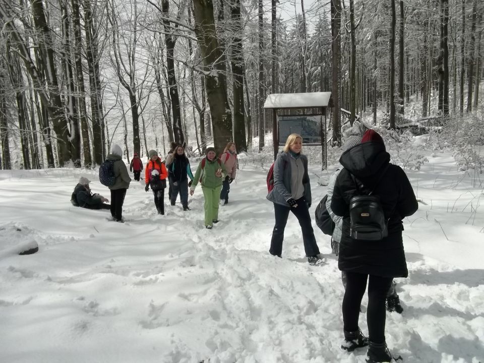 Wycieczka w Góry Sowie s002 - PTTK Strzelin