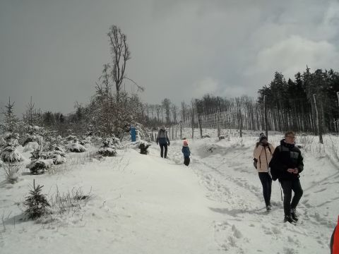 Wycieczka w Góry Sowie s90 - PTTK Strzelin