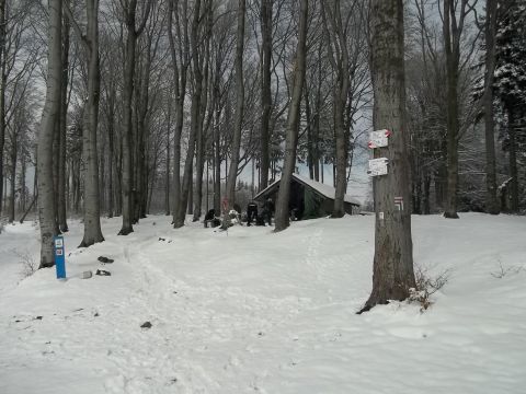 Wycieczka w Góry Sowie s91 - PTTK Strzelin