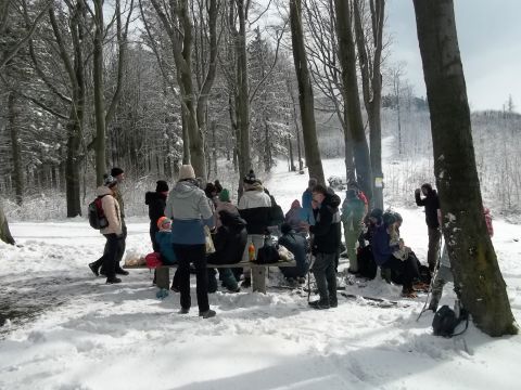 Wycieczka w Góry Sowie s103 - PTTK Strzelin