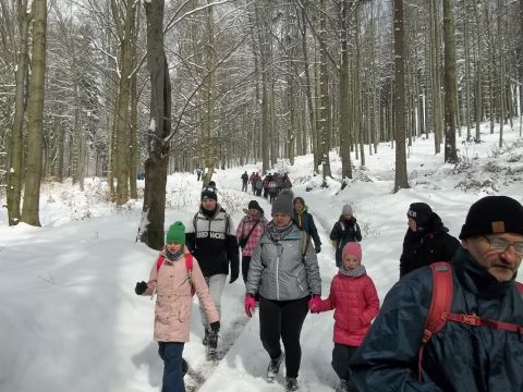 Wycieczka w Góry Sowie s113 - PTTK Strzelin