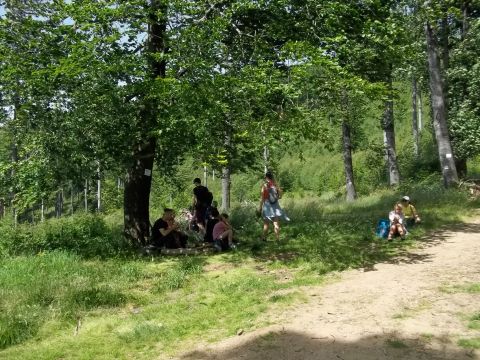 Wycieczka w Góry Sowie s31 - PTTK Strzelin