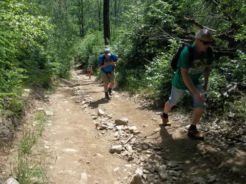 Wycieczka w Góry Sowie s34 - PTTK Strzelin