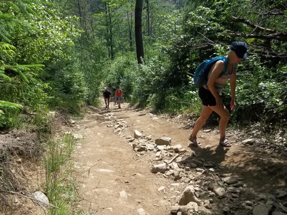 Wycieczka w Góry Sowie s002 - PTTK Strzelin