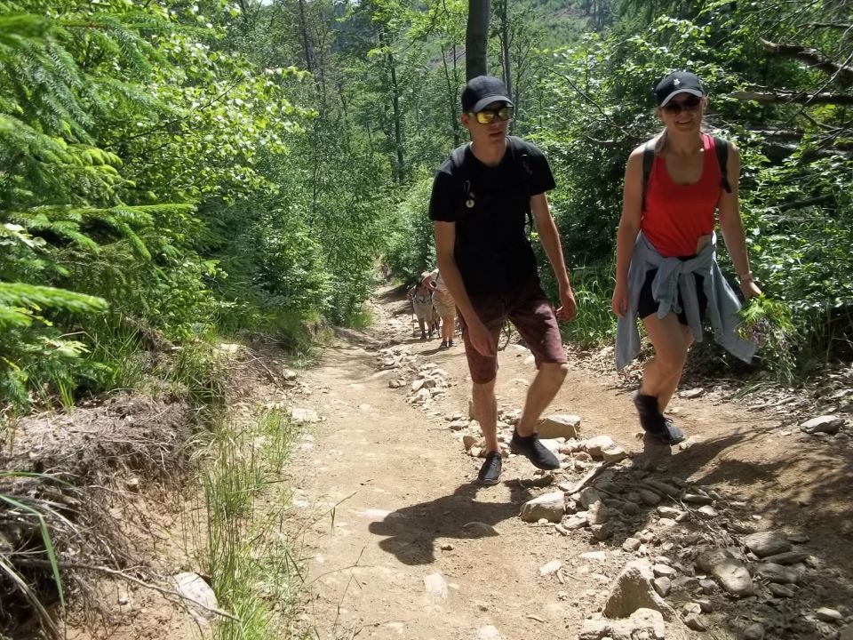 Wycieczka w Góry Sowie s002 - PTTK Strzelin