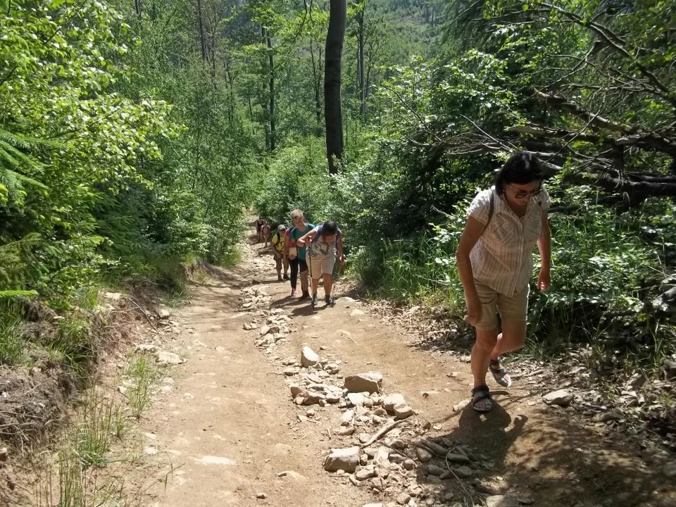 Wycieczka w Góry Sowie s002 - PTTK Strzelin