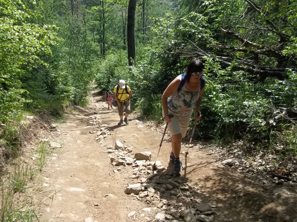 Wycieczka w Góry Sowie s002 - PTTK Strzelin