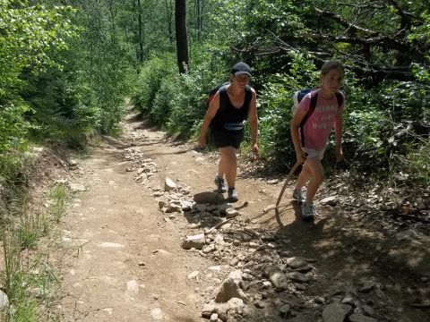 Wycieczka w Góry Sowie s39 - PTTK Strzelin