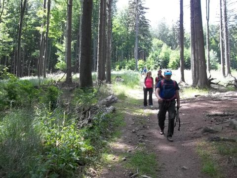 Wycieczka w Góry Sowie s53 - PTTK Strzelin