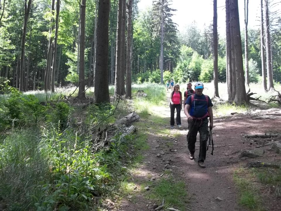 Wycieczka w Góry Sowie s002 - PTTK Strzelin