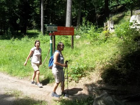 Wycieczka w Góry Sowie s56 - PTTK Strzelin