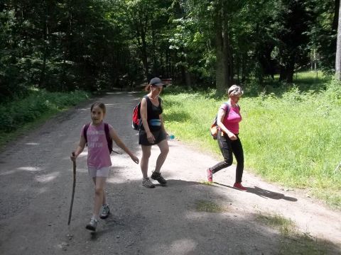 Wycieczka w Góry Sowie s57 - PTTK Strzelin