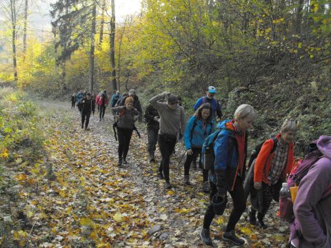 Wycieczka w Góry Sowie s11 - PTTK Strzelin
