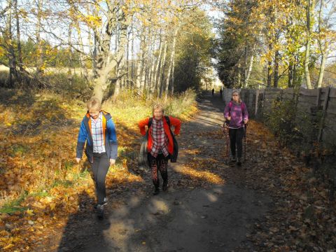 Wycieczka w Góry Sowie s15 - PTTK Strzelin