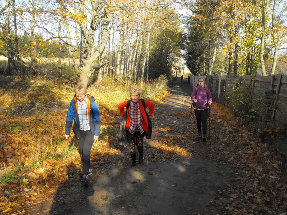 Wycieczka w Góry Sowie s002 - PTTK Strzelin