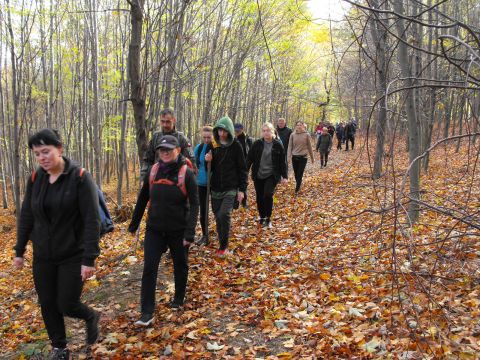 Wycieczka w Góry Sowie s38 - PTTK Strzelin