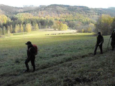 Wycieczka w Góry Sowie s39 - PTTK Strzelin
