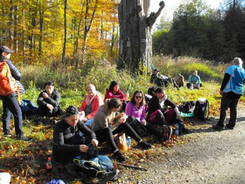 Wycieczka w Góry Sowie s75 - PTTK Strzelin