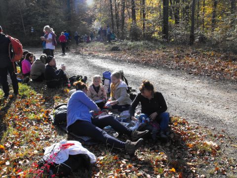 Wycieczka w Góry Sowie s76 - PTTK Strzelin