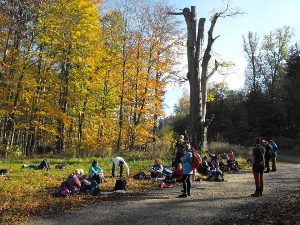 Wycieczka w Góry Sowie s002 - PTTK Strzelin