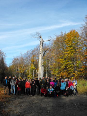 Wycieczka w Góry Sowie s82 - PTTK Strzelin