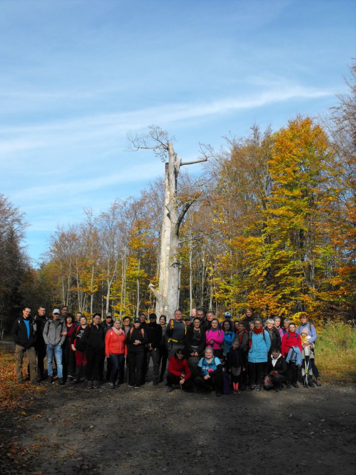 Wycieczka w Góry Sowie s002 - PTTK Strzelin