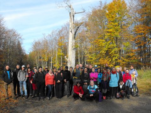 Wycieczka w Góry Sowie s85 - PTTK Strzelin