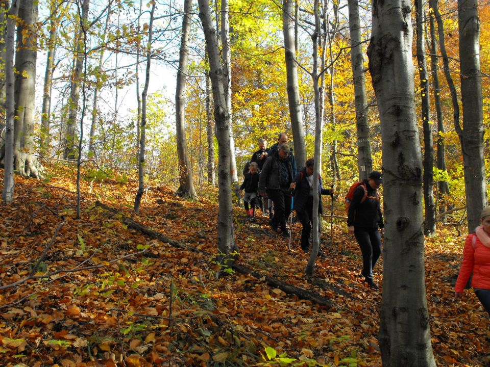 Wycieczka w Góry Sowie s002 - PTTK Strzelin