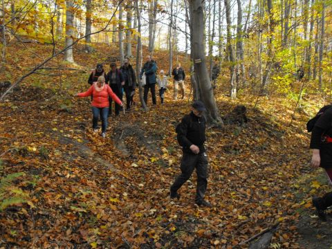 Wycieczka w Góry Sowie s89 - PTTK Strzelin