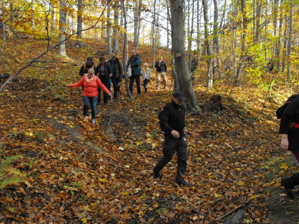 Wycieczka w Góry Sowie s002 - PTTK Strzelin