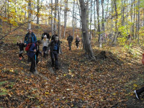Wycieczka w Góry Sowie s90 - PTTK Strzelin