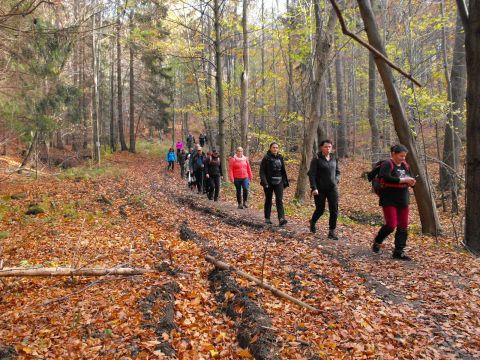 Wycieczka w Góry Sowie s91 - PTTK Strzelin
